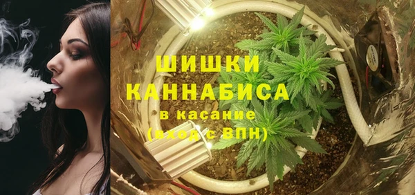 СК Касимов