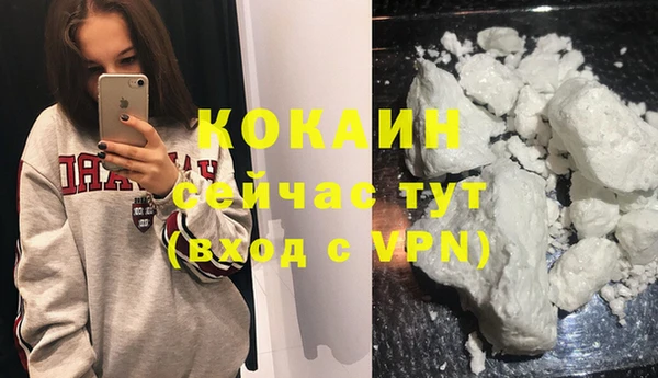 СК Каменка