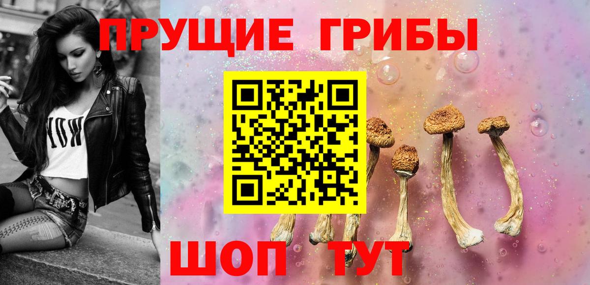 Псилоцибиновые грибы Psilocybe Раменское